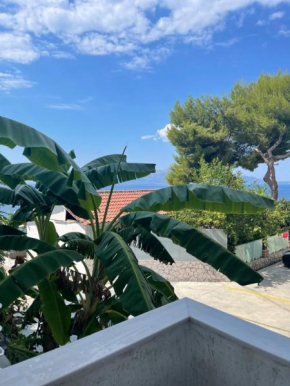 Mohito beach apartment 4
